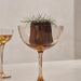 Ferm Living Host 雞尾酒杯 (2件組) Ferm Living - 潤舍．生活家居 Luxury Life
