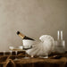 Ferm Living Shell 花器 Ferm Living - 潤舍．生活家居 Luxury Life