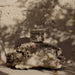 Ferm Living Vuelo 釉彩陶瓷茶杯 Ferm Living - 潤舍．生活家居 Luxury Life