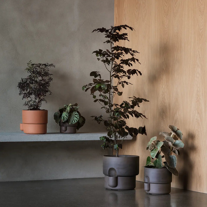 Northern Oasis 花盆 (小) Northern - 潤舍．生活家居 Luxury Life