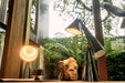 Tom Dixon Pose 無線桌燈 Tom Dixon - 潤舍．生活家居 Luxury Life