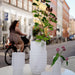 Tom Dixon Press Stem Vase 磨砂玻璃花瓶 (Frosted Pressed Glass) 擺放於戶外圓桌上，背景是城市街道景觀，花瓶內插有植物。