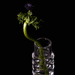 Press Stem Vase 透明玻璃花瓶特寫，瓶中插有單枝帶有綠莖的紫色白頭翁花朵，突顯花瓶對花材線條的襯托。