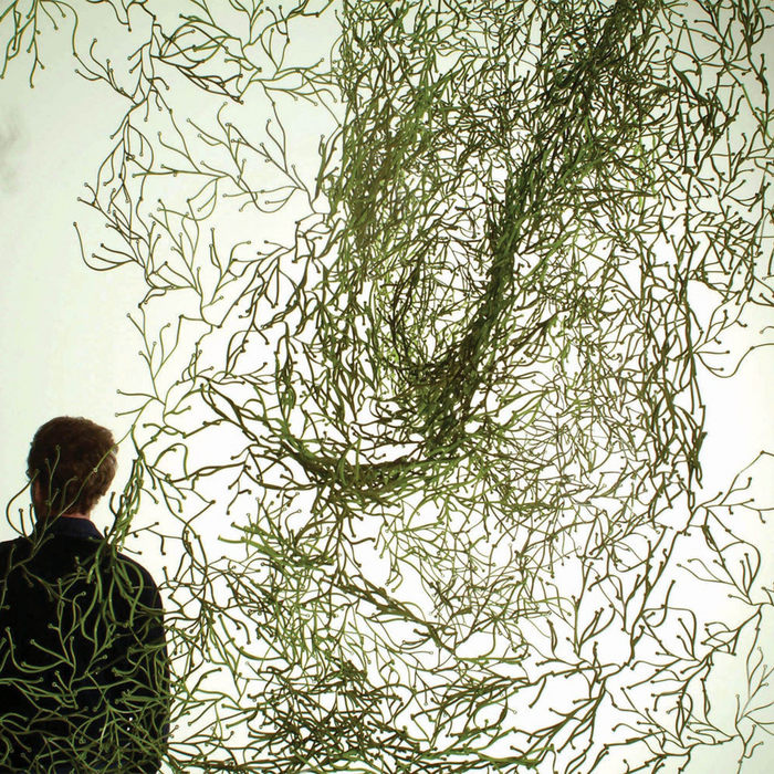 進口傢飾｜Vitra 枝葉掛飾 Algue Wall Installation