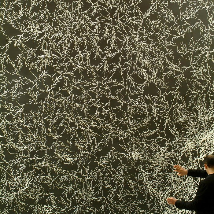進口傢飾｜Vitra 枝葉掛飾 Algue Wall Installation