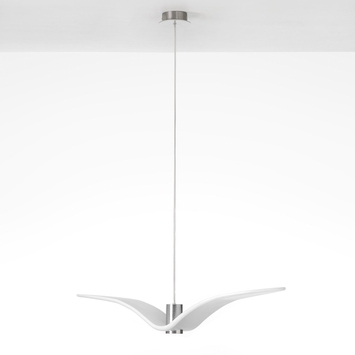 Brokis Night Birds 吊燈 (展翼) Brokis - 潤舍．生活家居 Luxury Life