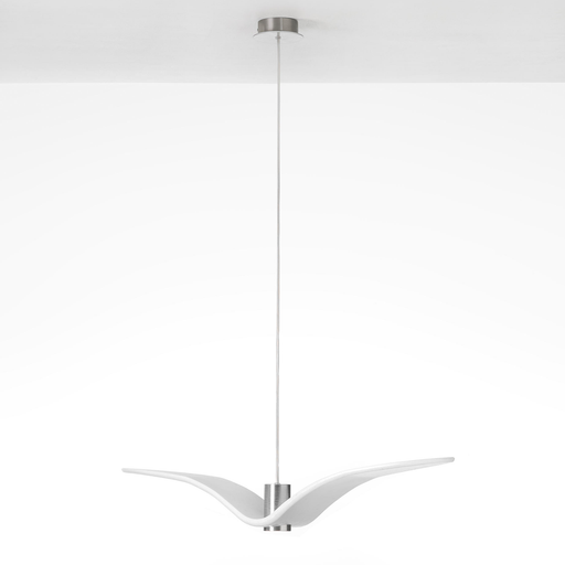 Brokis Night Birds 吊燈 (展翼) Brokis - 潤舍．生活家居 Luxury Life