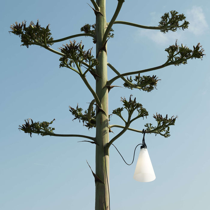 Flos Mayday Outdoor IP65 桌燈 / 萬用燈 (戶外版) Flos - 潤舍．生活家居 Luxury Life