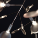 歐洲進口燈飾｜Moooi 美麗花火吊燈 (橫式支架款 / 116cm) Heracleum Ⅲ Endless Suspension Lamp