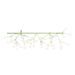 歐洲進口燈飾｜Moooi 美麗花火吊燈 (橫式支架款 / 116cm) Heracleum Ⅲ Endless Suspension Lamp