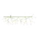 歐洲進口燈飾｜Moooi 美麗花火吊燈 (橫式支架款 / 116cm) Heracleum Ⅲ Endless Suspension Lamp