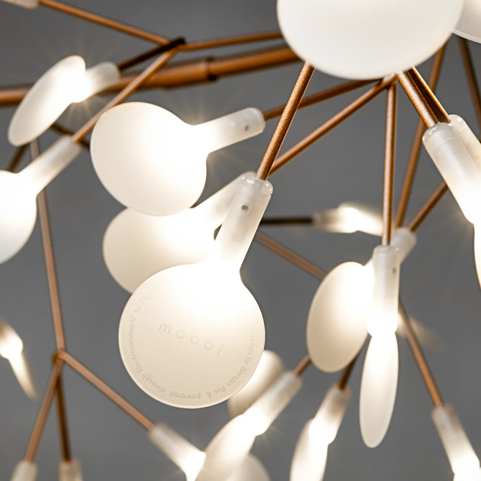 歐洲進口燈飾｜Moooi 美麗花火吊燈 (橫式支架款 / 155 cm) Heracleum Ⅲ Linear Suspension Lamp