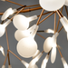 歐洲進口燈飾｜Moooi 美麗花火吊燈 (橫式支架款 / 155 cm) Heracleum Ⅲ Linear Suspension Lamp