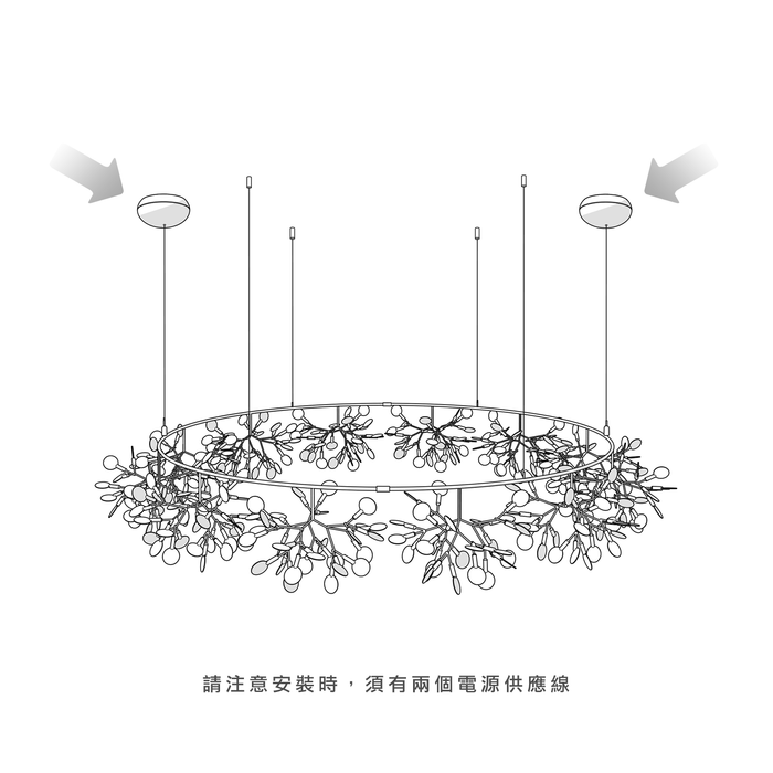 歐洲進口燈飾｜Moooi 美麗花火環形吊燈 (Ø210 cm) Heracleum The Big-O Suspension Lamp