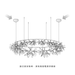 歐洲進口燈飾｜Moooi 美麗花火環形吊燈 (Ø210 cm) Heracleum The Big-O Suspension Lamp