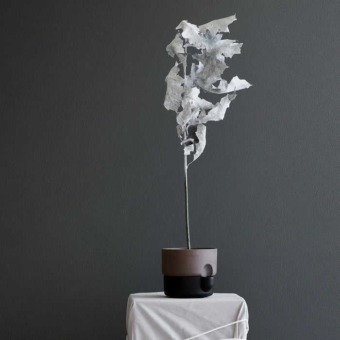 Northern Oasis 花盆 (小) Northern - 潤舍．生活家居 Luxury Life