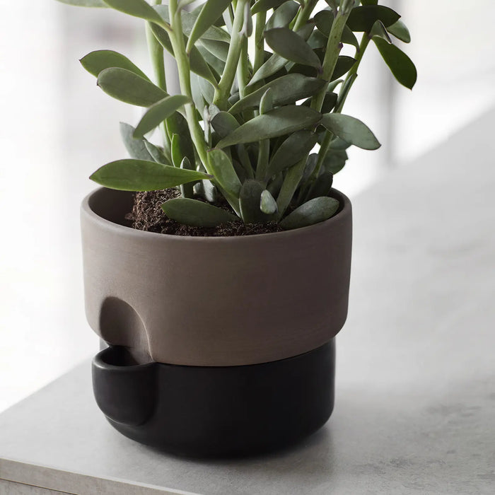 Northern Oasis 花盆 (小) Northern - 潤舍．生活家居 Luxury Life