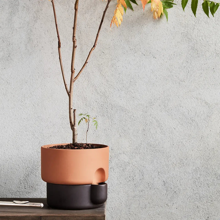 Northern Oasis 花盆 (大) Northern - 潤舍．生活家居 Luxury Life