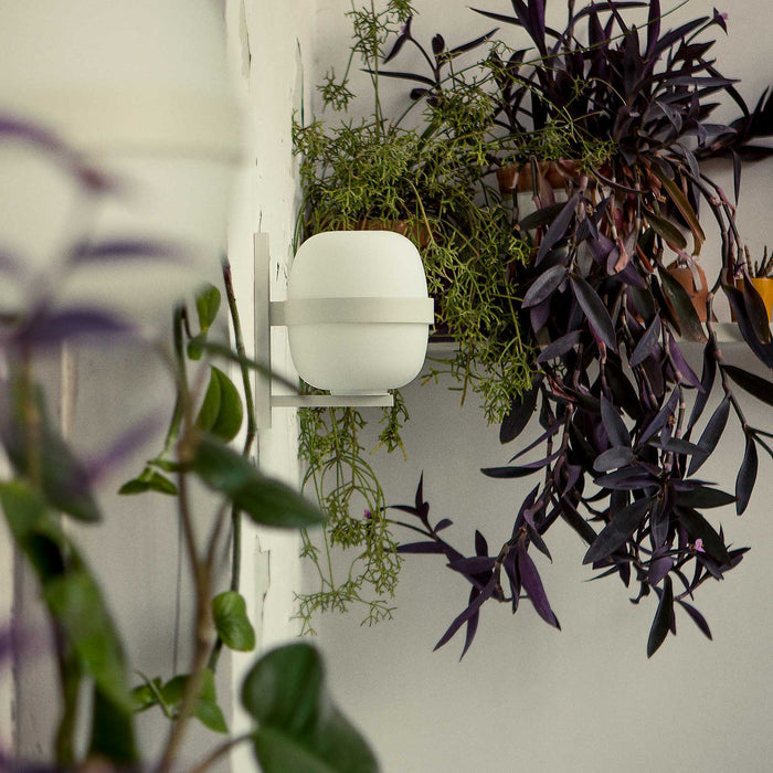 進口燈具 — 西班牙 Santa & Cole 瓦力戶外室內兩用壁燈  進口燈具品牌 戶外壁燈