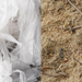 北歐垃圾桶｜Vipp 維普經典廚房垃圾桶 (14L / 再生素材限定款) Rubbish Bin 15
